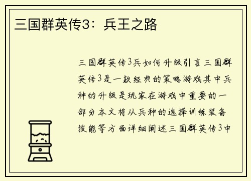 三国群英传3：兵王之路